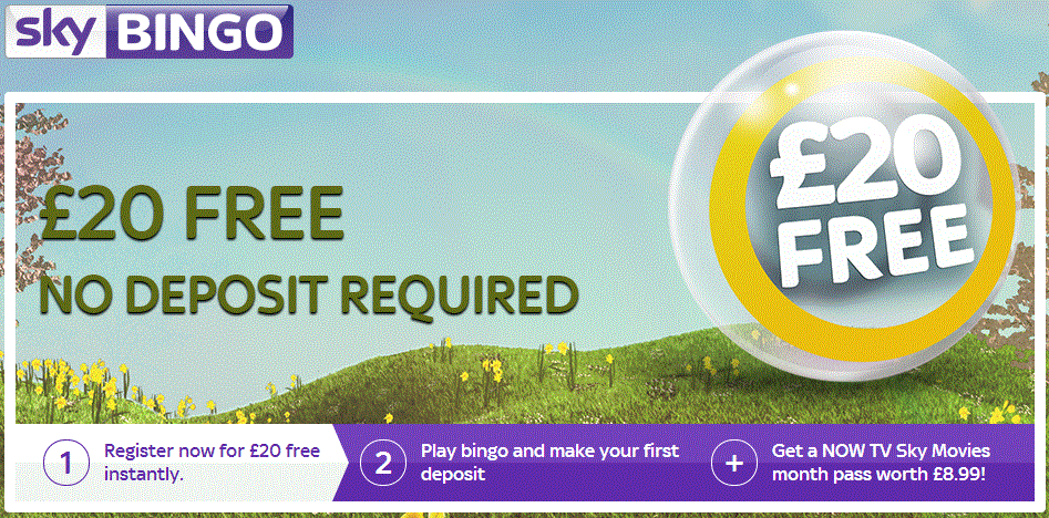 £20 free bingo offer with Sky Bingo 